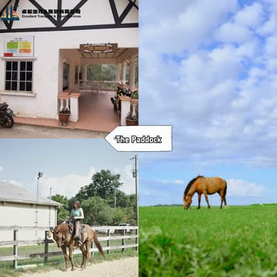 The Paddock - Fraser's Hill